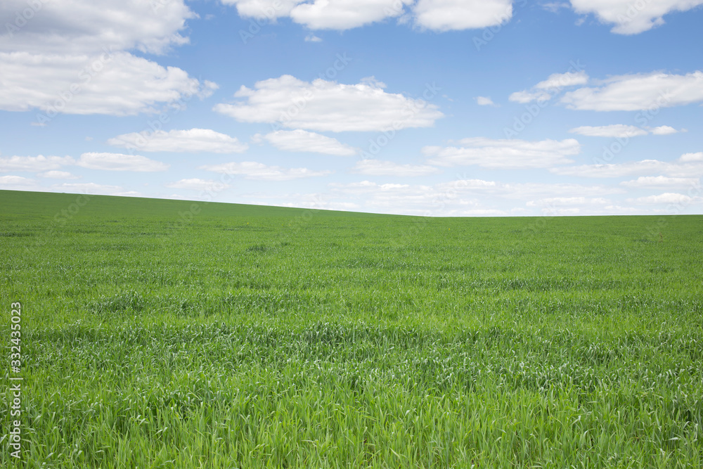 Beautiful view of the green field with clouds.