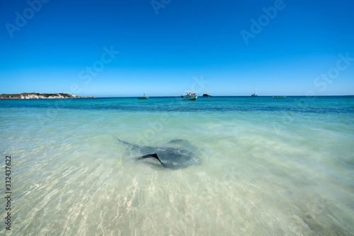Photos Hamelin Bay Beach