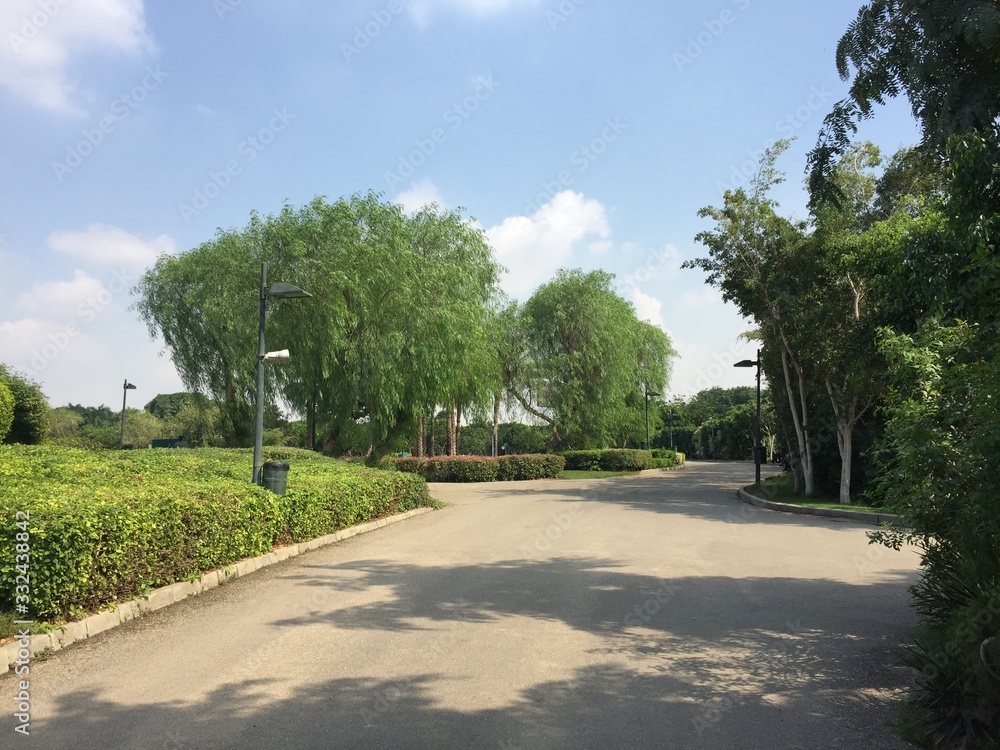 Obraz premium park