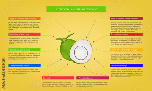 nutritional benefits of Coconut Infographic about nutrients in Avocado Fruit and agriculture vector illustration nutrition and healthy food