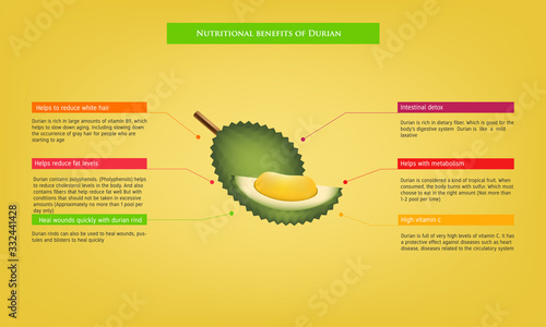 nutritional benefits of Durian Infographic about nutrients in Avocado Fruit and agriculture vector illustration nutrition and healthy food