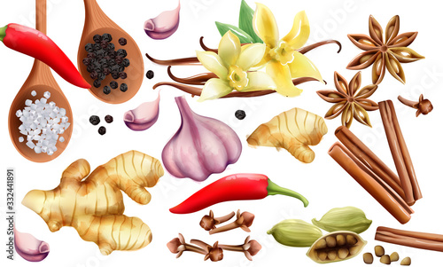 Natural spices and vegetables composition with onion, garlic, salt, red and grounded black pepper, ginger, cinnamon sticks and vanilla