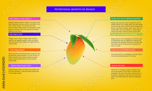 nutritional benefits of Mango Infographic about nutrients in Avocado Fruit and agriculture vector illustration nutrition and healthy food
