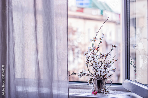 Open window with transparent curtain and spring blossom tree branches in metal cup. Romantic beautiful background. Springtime concept. 