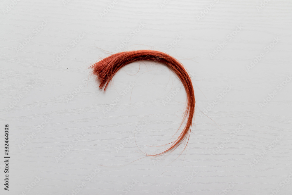 DNA test, biomaterial for the study of paternity, kinship. Women's hair  strand on white background, top view Stock Photo | Adobe Stock