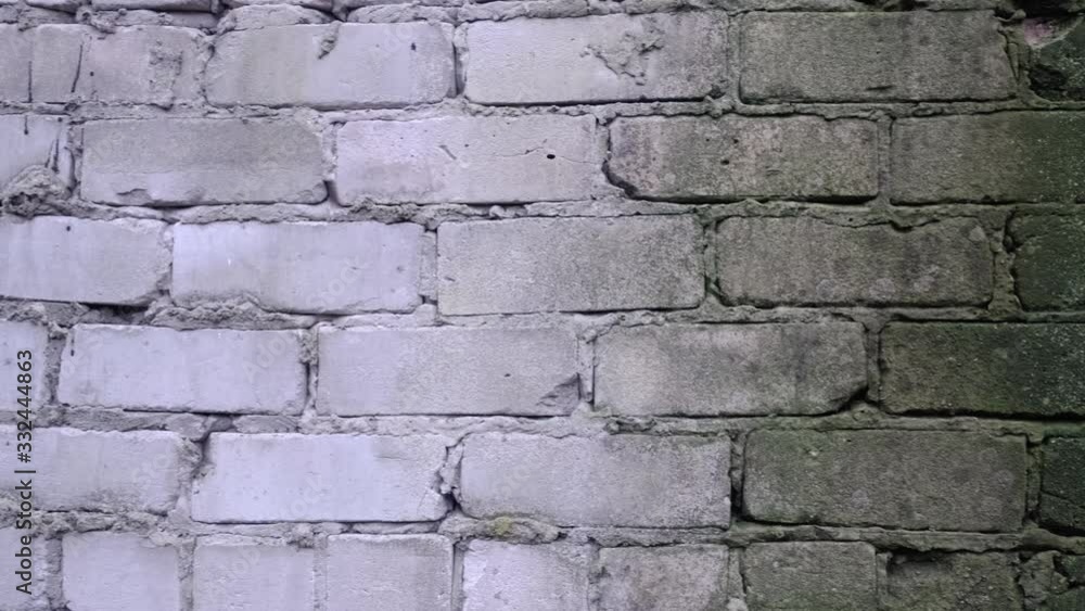 Old white brick wall with green moss growing out of it. Old white brick wall with green moss growing out of it.