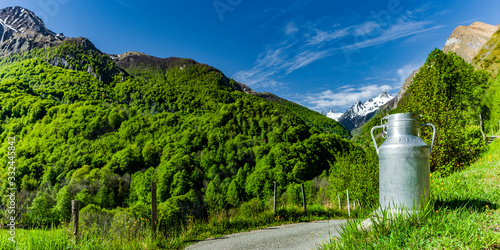 Milchkanne in einer Bergwiese im Gebirge