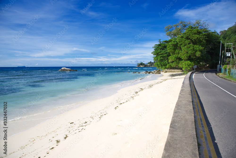 Fototapeta premium Scenic view on idyllic beach with sand and palm tree.