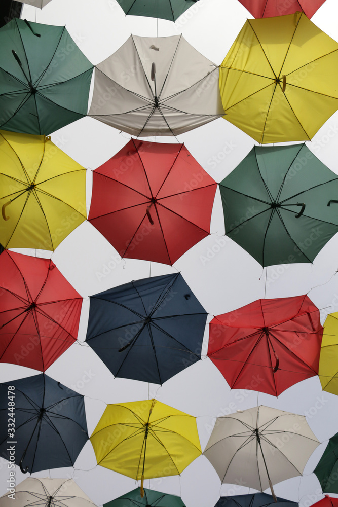 Umbrella Umbrella