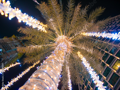 Canvas Print Palm trees with luminous garlands at night in Dubai