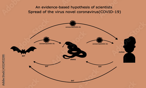 Shadow,an evidence-based hypothesis of scientists spread of the virus novel coronavirus 2019,2019-nCoV,Covid-19,Bat spread to snake,Snake spread to people,People who eat snake or bat
