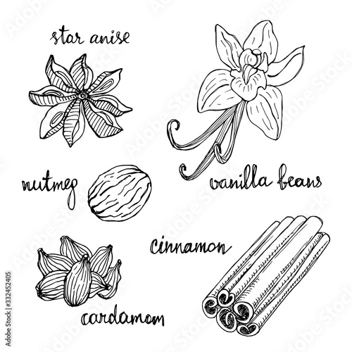 Set of spices: star anise, vanilla beans, nutmeg, cinnamon, cardamom. Hand drawn spices in sketchy style isolated on white background. Vector illustration.