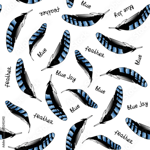 The color pattern of the feathers of a bird. Illustration of a blue Jay feathers