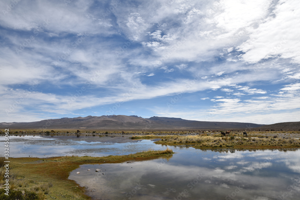 Lac de l'altiplano andin, Pérou
