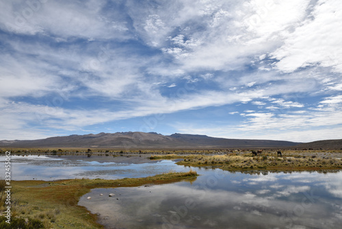 Lac de l'altiplano andin, Pérou
