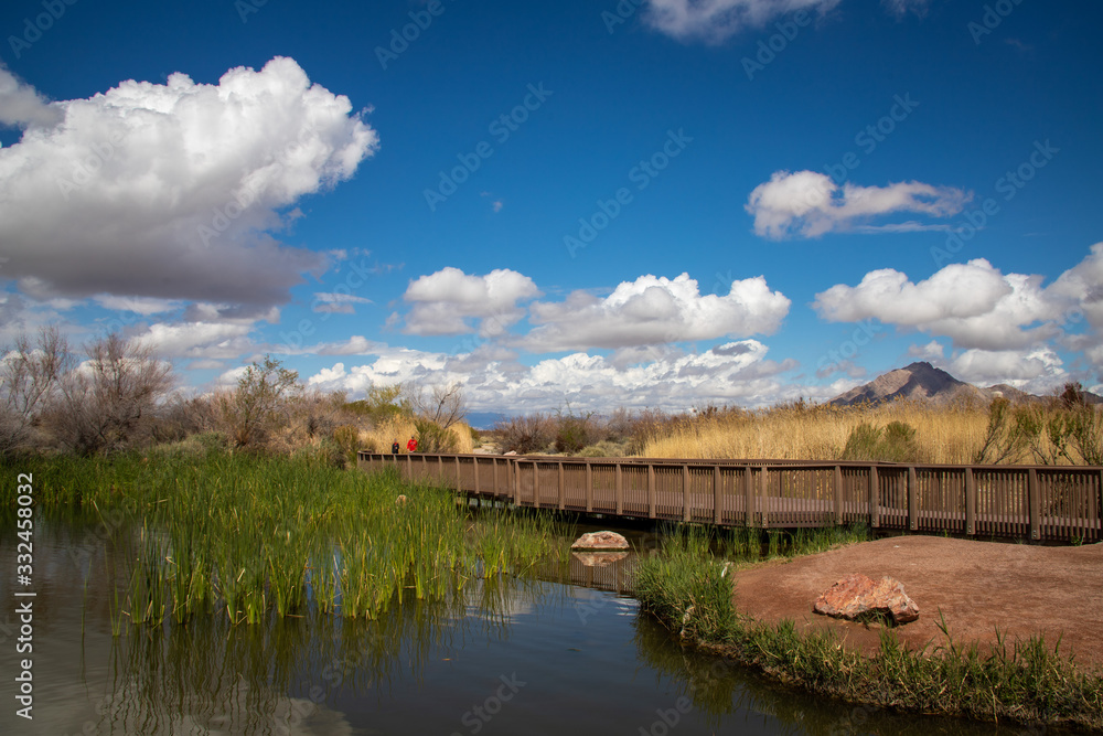 A small wooden walking bridge next to a peaceful pond at a Las Vegas wetlands area