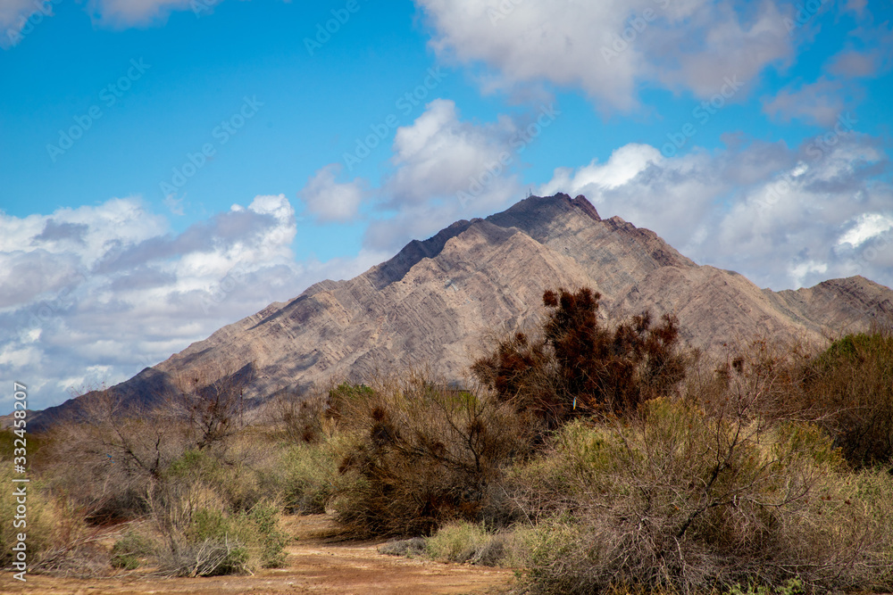 A view of Frenchman Mountain in Las Vegas from a wetlands area