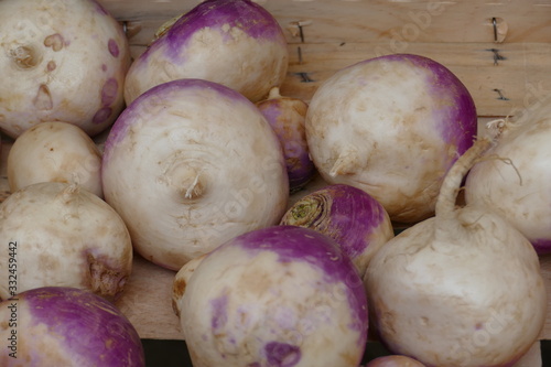 Speiserübe / Herbstrübe rund in weiss - lila
