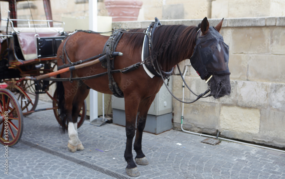 Valletta