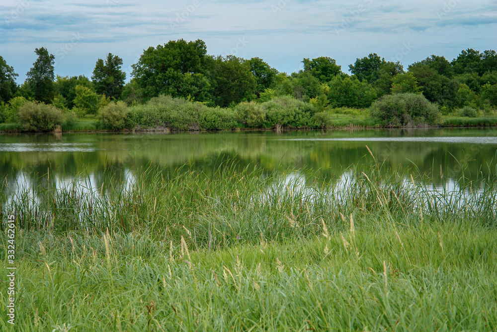 Calm forest lake on a quiet Sunny day. Summer landscape Calm forest lake on a quiet Sunny day. Summer landscape