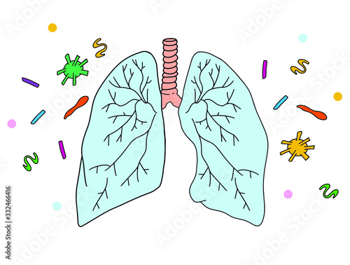 Vector Hand drawn lungs.  Covid -19. Coronavirus 2019-nCoV. 