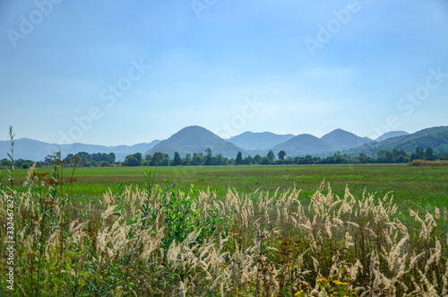 Scenic landscape of countryside green field and mountains on a sunny day