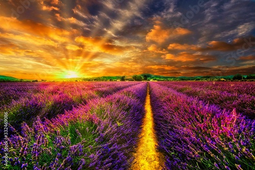 Sunset Lavendelfeld