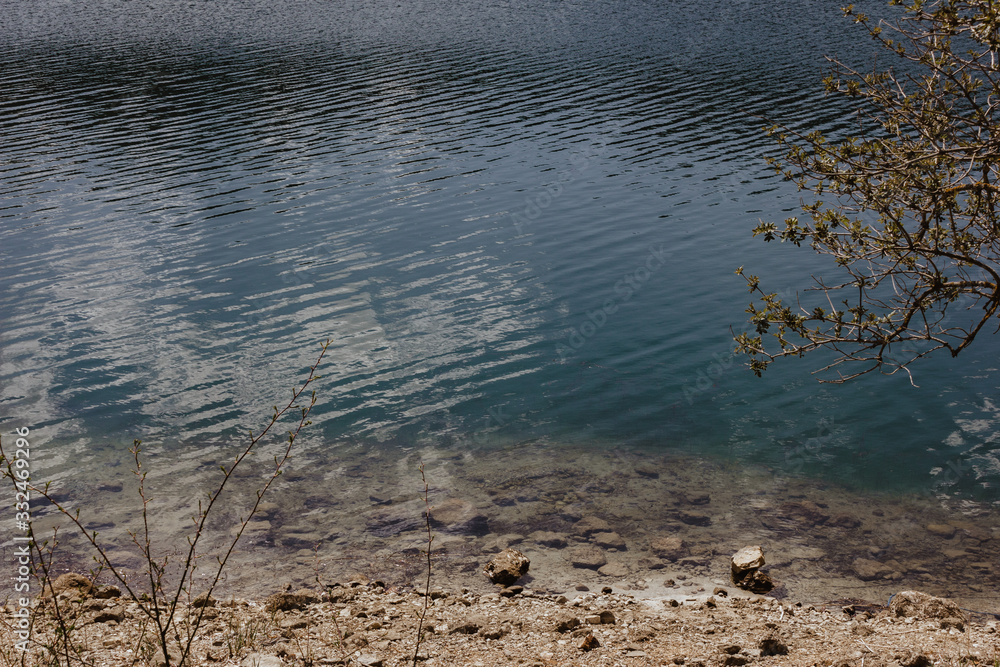 Fototapeta premium birds on lake