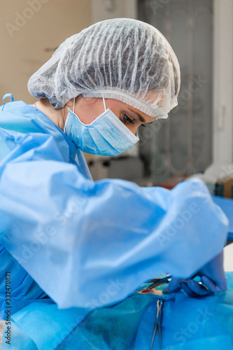 Surgery to remove a uterine tumor in a cat. Surgery in veterinary medicine. Applying clamps and sutures to the neurovascular bundle photo