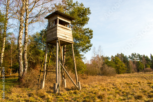 Hunting tower in the forest. Coniferous forest is green.