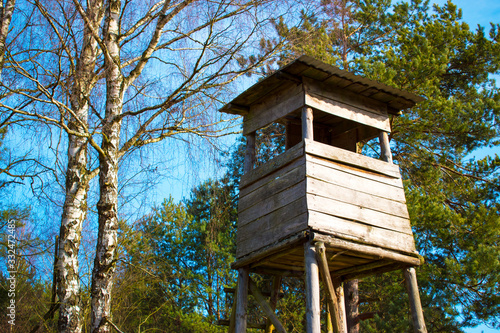 Hunting tower in the forest. Coniferous forest is green. © Max