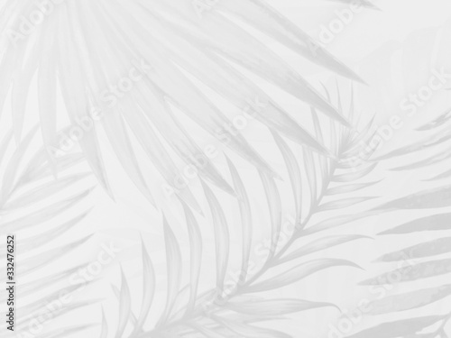 Beautiful abstract color gray and white leaves marble on black background, black white granite tiles floor on white background, love gray leaves banners graphics, art mosaic decoration, white flowers