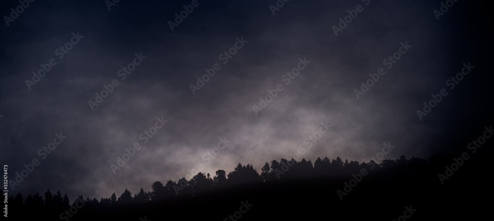 Brouillard - obrazy, fototapety, plakaty 