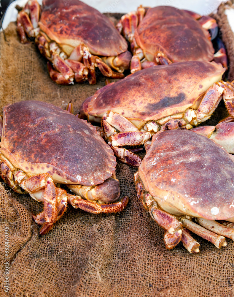 Fresh crabs on the morning fish market lie on ice on burlap. Nice, France