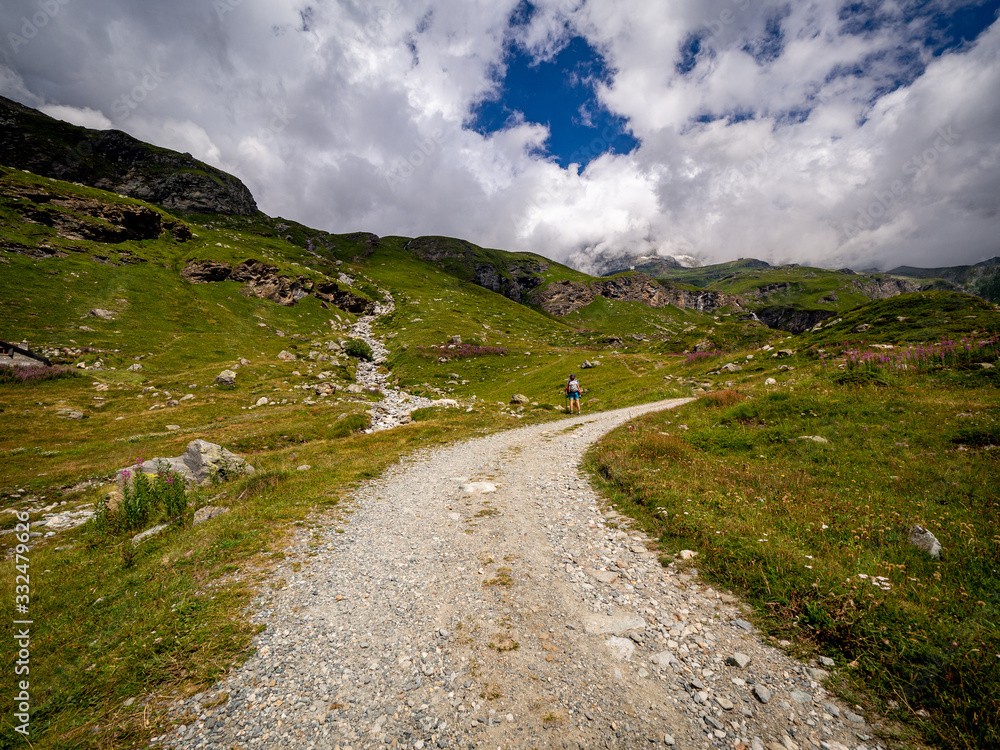 Fototapeta premium alpes