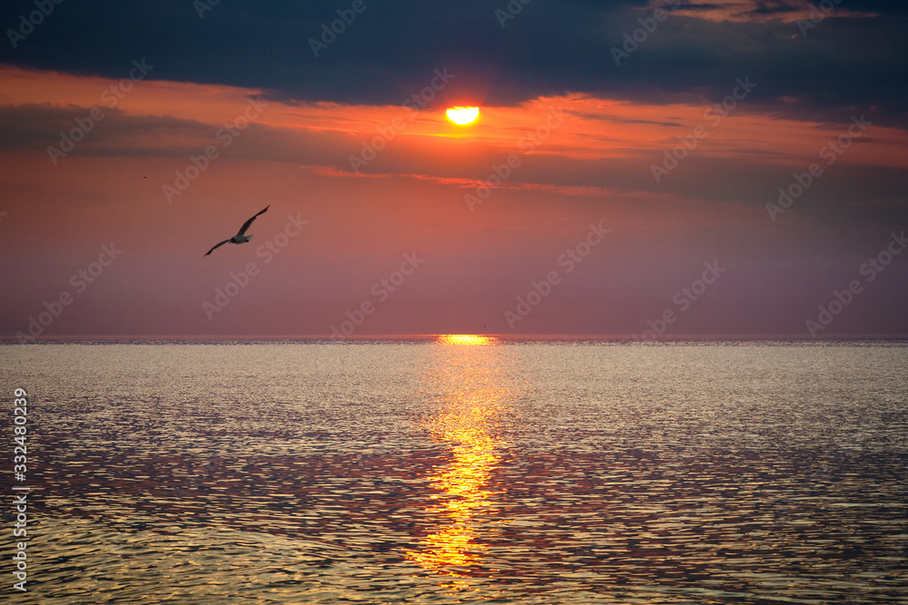 A seagull flies over the sea. Beautiful dawn sunrise at sea. Seascape. A seagull flies over the sea. Beautiful dawn sunrise at sea. Seascape.