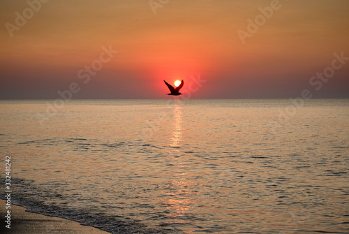 A seagull flies over the sea. Beautiful dawn sunrise at sea. Seascape.