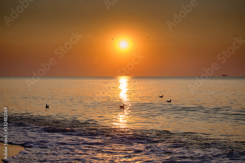 Fototapeta Naklejka Na Ścianę i Meble -  Seagulls swim in the sea at sunrise. Seascape. Black Sea