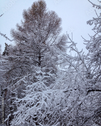 Russian winter