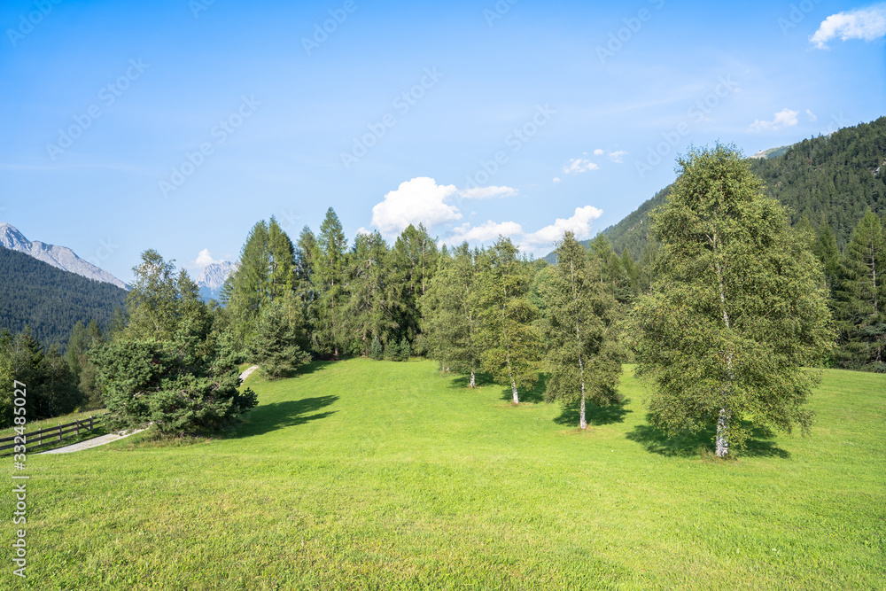 Alpine meadow in mountains