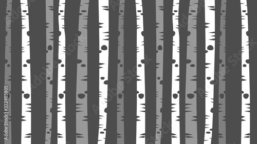 grey and white thin birch tree trunks design, decorative forest vector background