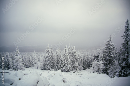Winter forest of Southern Ural © Kirill
