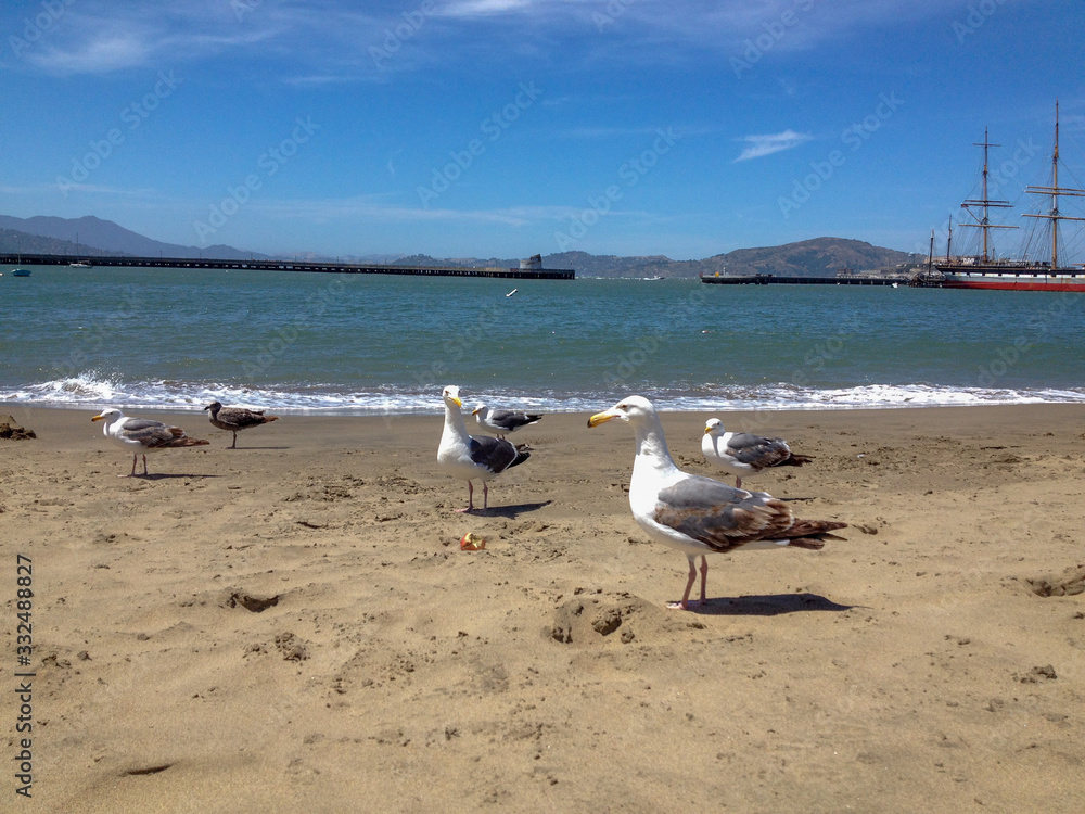 San Francisco