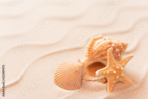 soft focus summer beach background with shell Seastar, vacation and travel concept, Flat lay top view copy space, Minimal exotic concept. Creative layout of sand waves.
