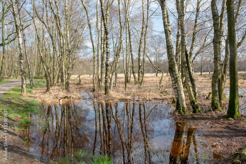 Naturschutzgebiet Zwillbrocker Venn