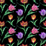 Seamless pattern of multicolored tulips on a black background, watercolor illustration. Floral print for fabric and various designs.