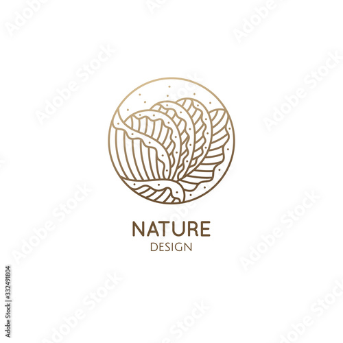 Fototapeta Naklejka Na Ścianę i Meble -  Plant logo of tropical leafs in circle. Leaf vegetable linear emblem for design of business, healthy and raw food, salad greens, holistic medicine, spa, natural cosmetics, massage. Vector icon