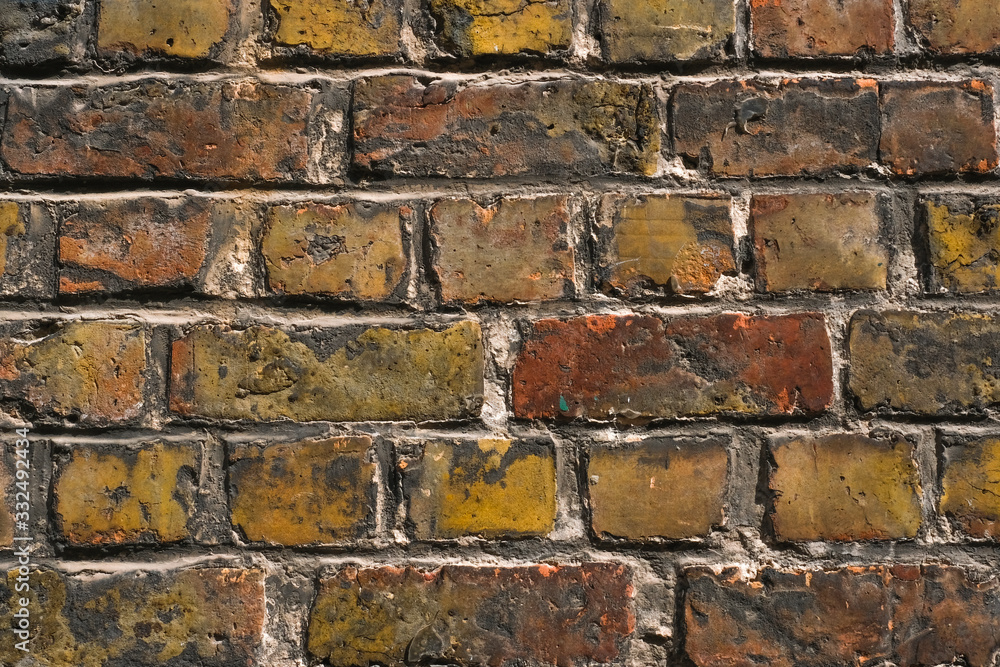 Fototapeta premium brick wall background