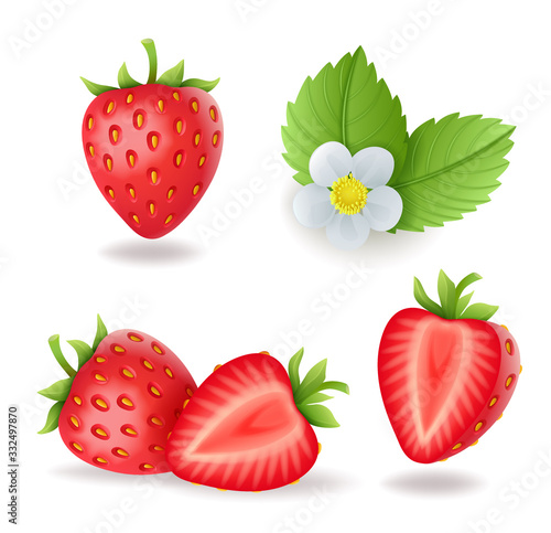 Realistic sweet strawberry set with leaves and flowers, fresh red berries, isolated on white background vector illustration.