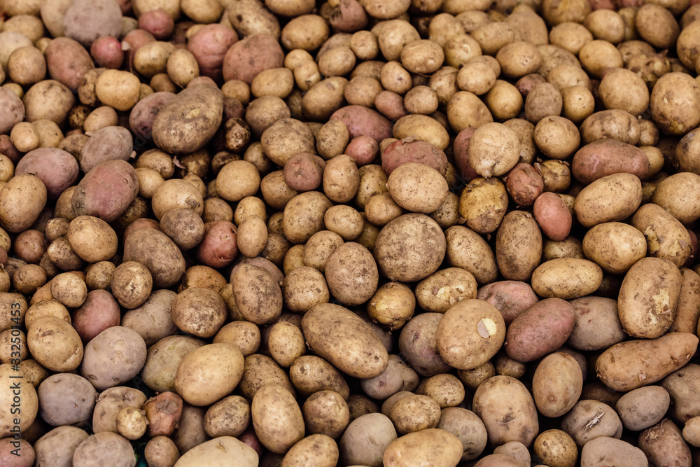 Close up of ripe raw potatoes Close up of ripe raw potatoes
